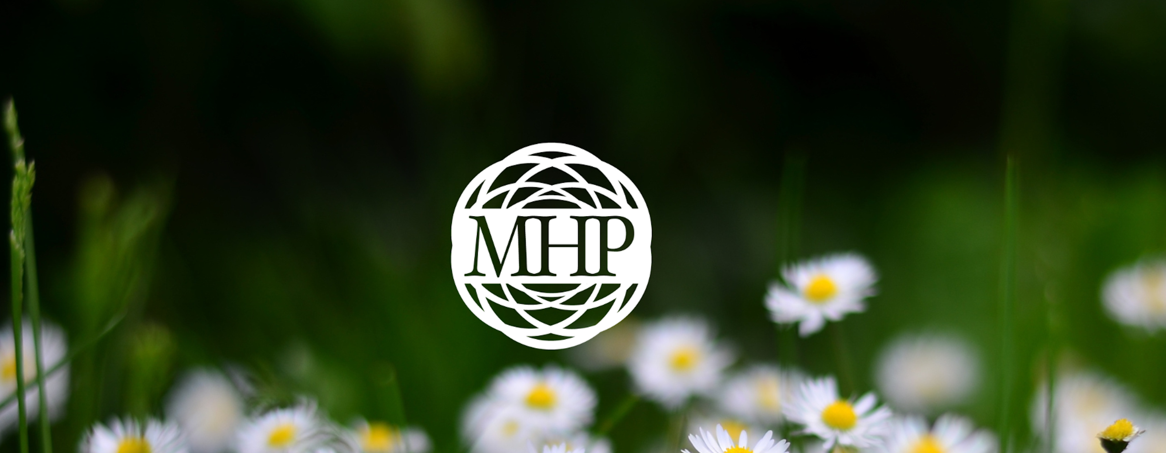 5 Tips for Managing Depression Blurred Photo of White Daisies and White Mhp Logo (1)