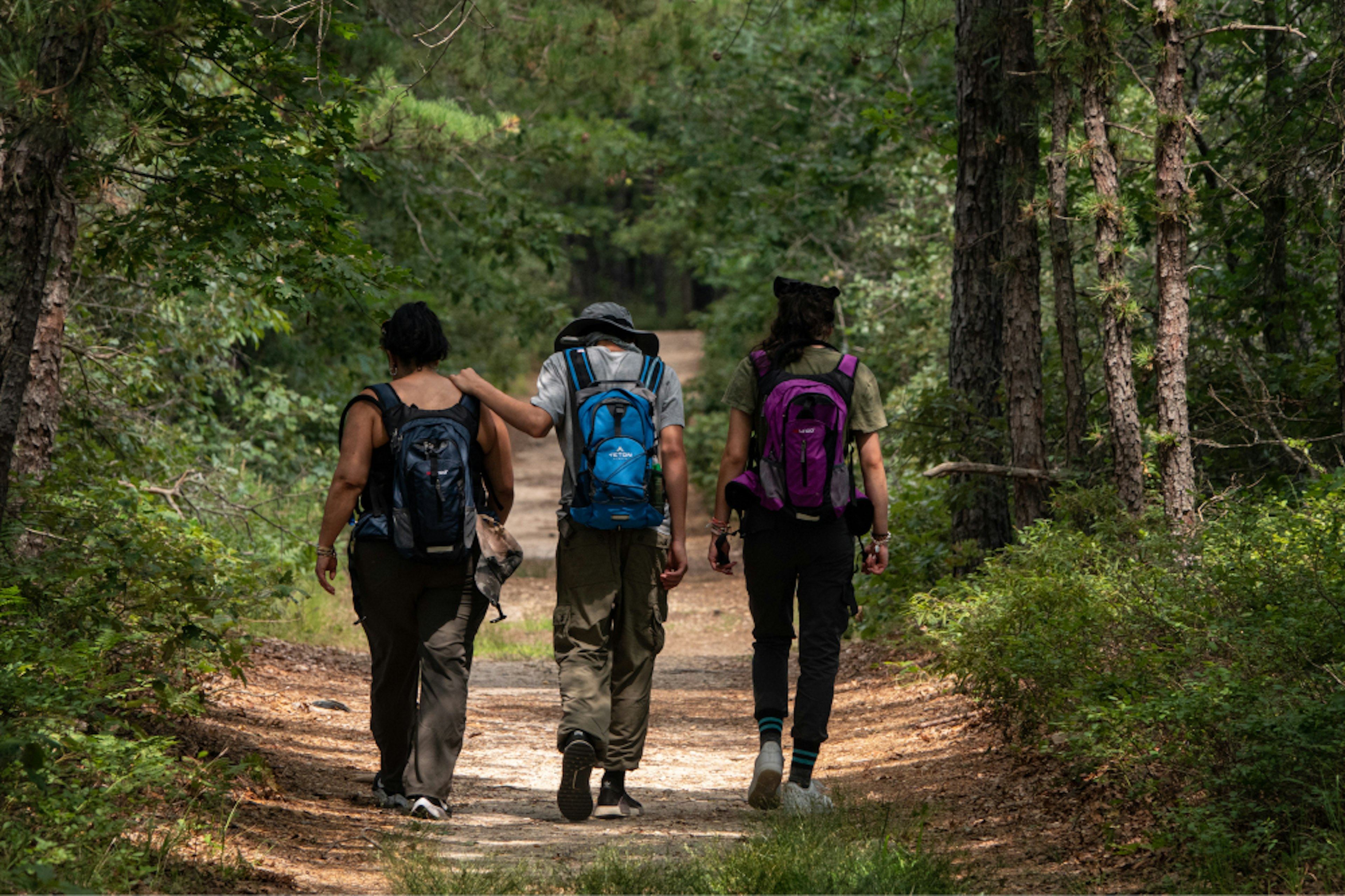 Pathway to Wellness Tile 2: Group of people hiking on trail.
