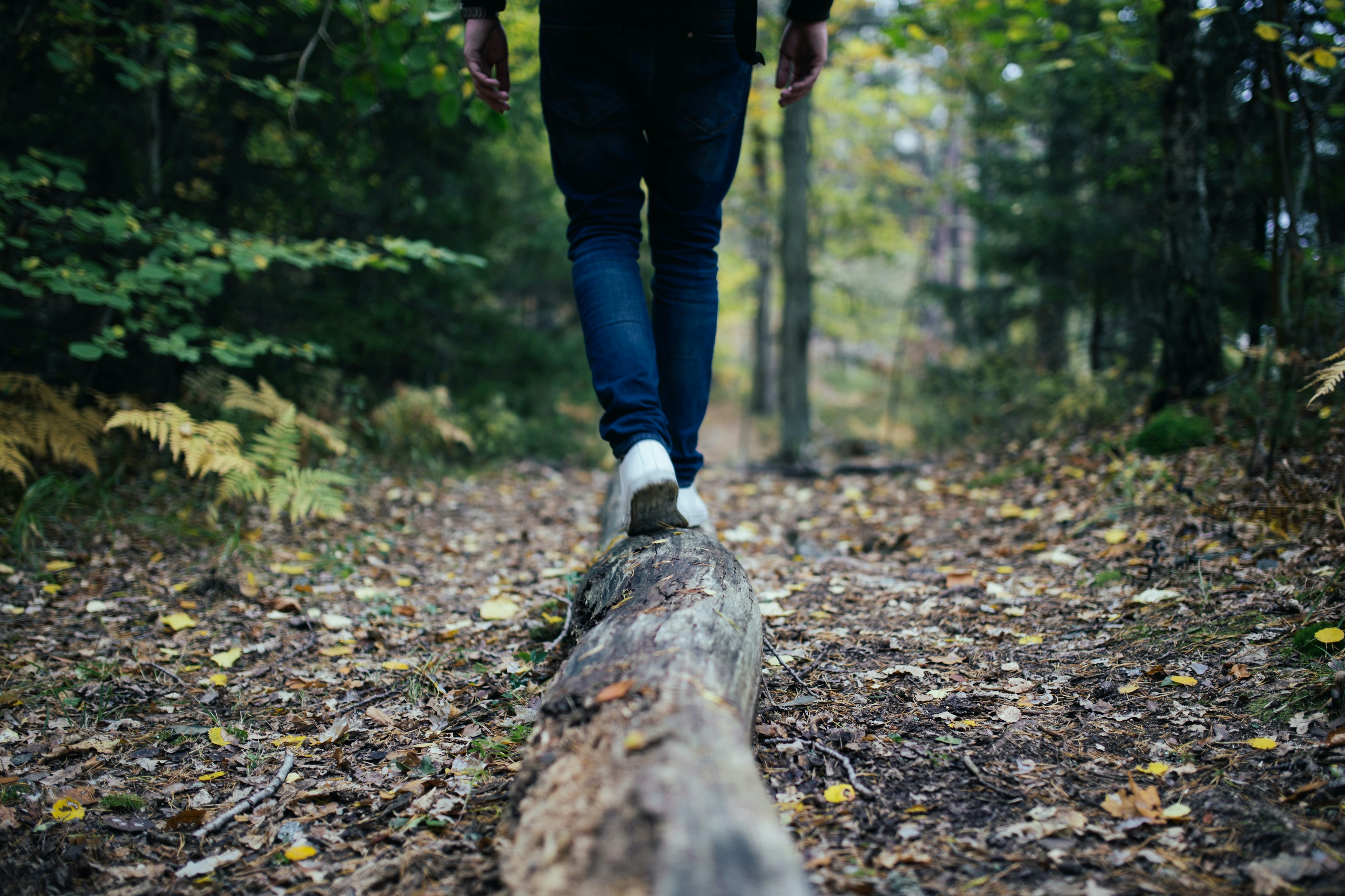 Person walking in woods on large branch.