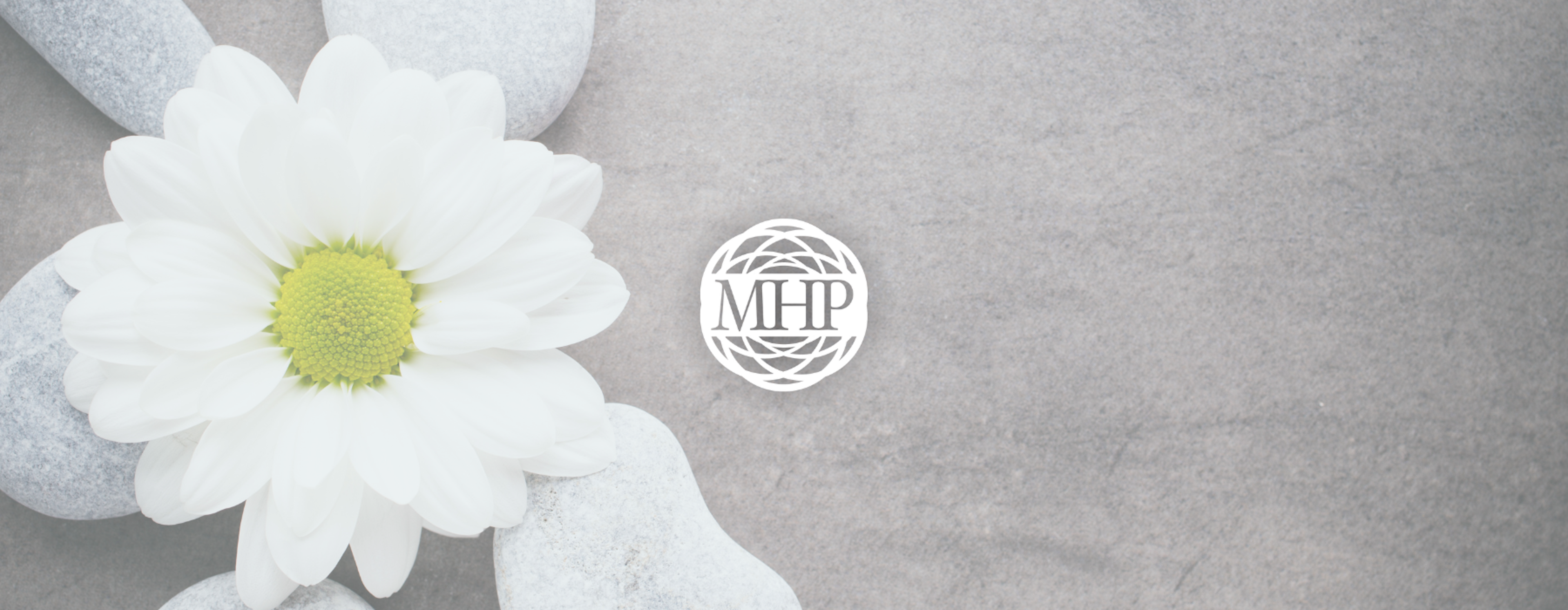 Wellness Blog Header - flower on a gray background with rocks