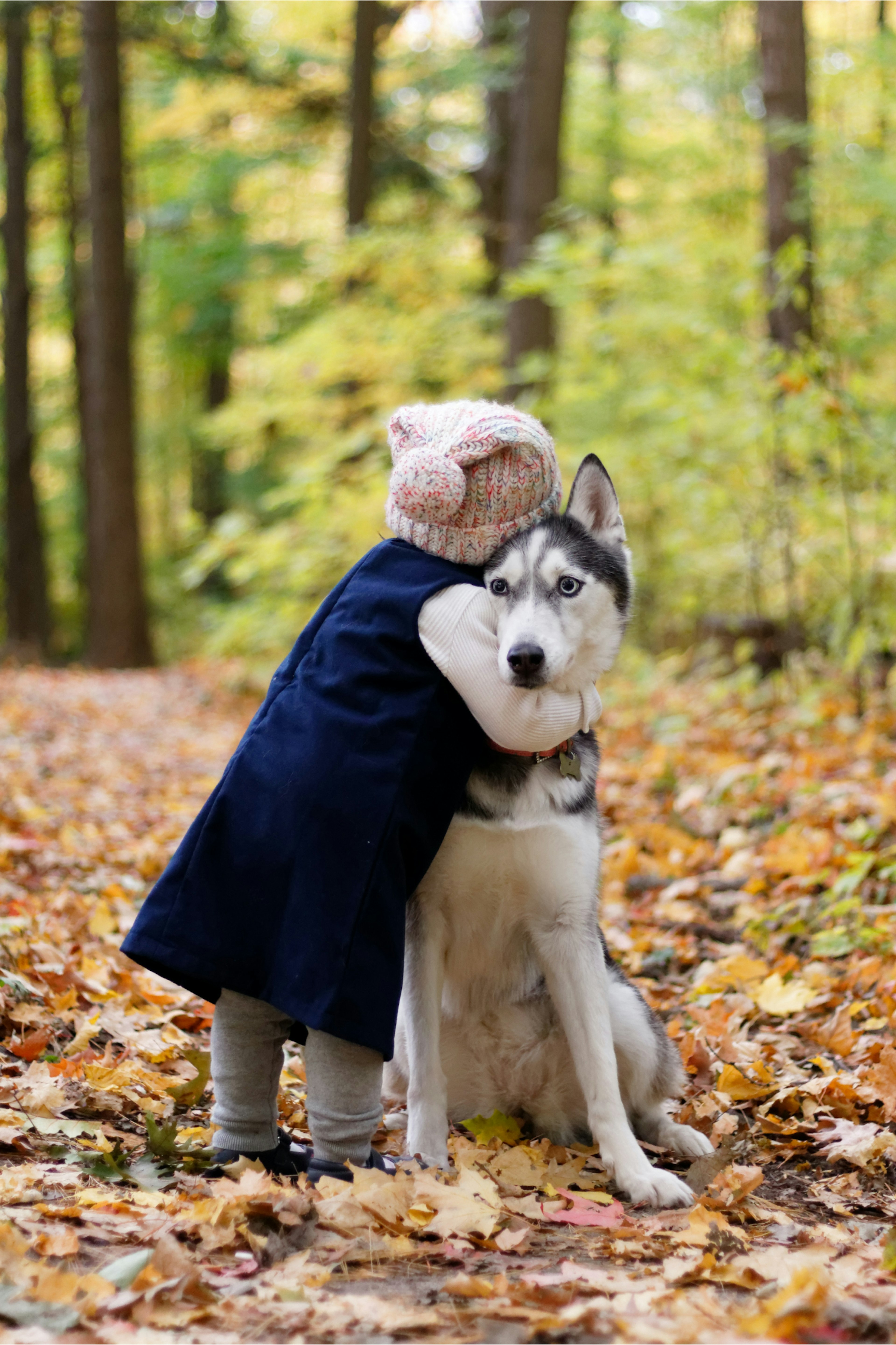 Young child hugging a husky in the woods.