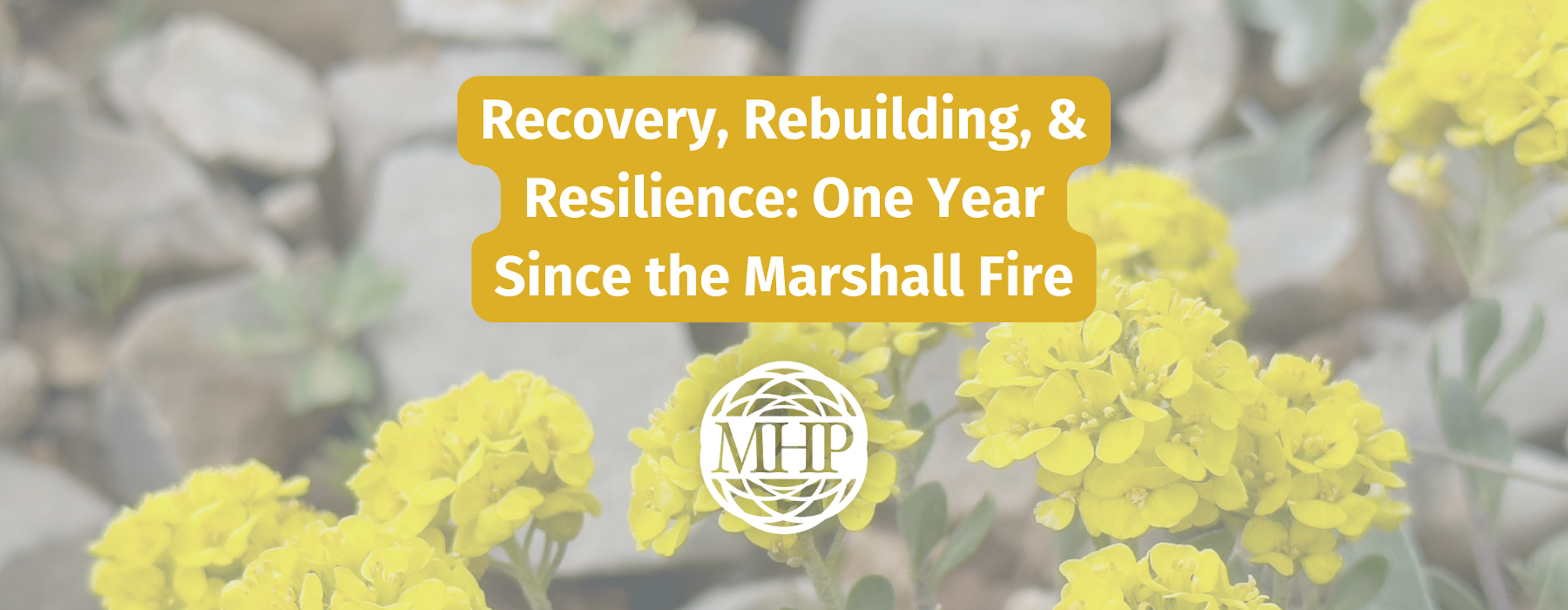 Recovery, Rebuilding, & Resilience One Year Since the Marshall Fire