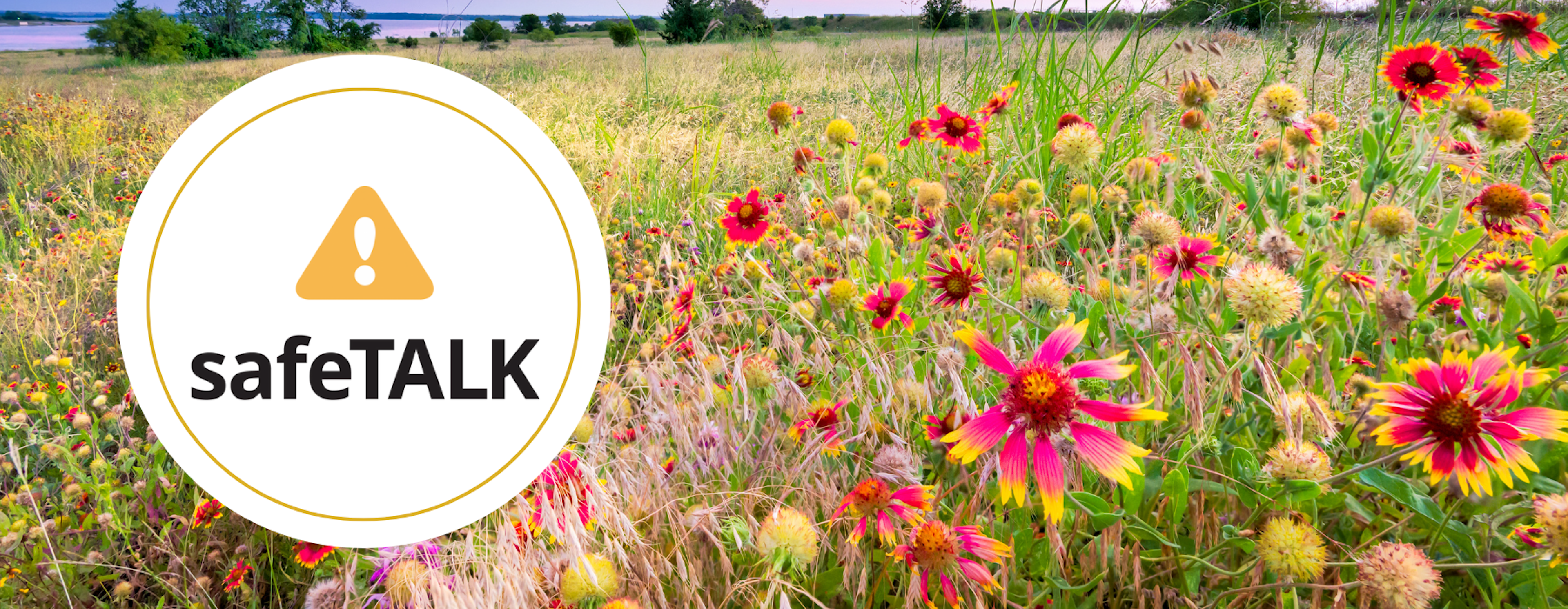 Safe Talk Pink Wildflower Field and Safe Talk Logo