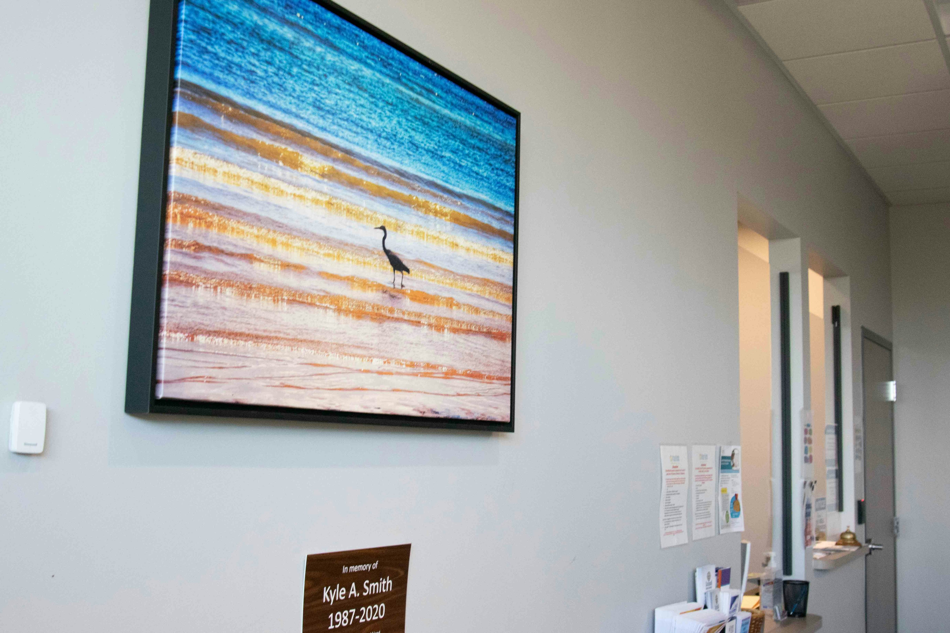Broomfield office, large print of bird at the beach on the wall.